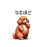 ぽちゃトイプードル 茶 ドット絵 日常会話（個別スタンプ：37）