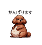 ぽちゃトイプードル 茶 ドット絵 日常会話（個別スタンプ：38）