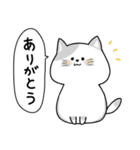 毎日使える♪ねこちゃん（個別スタンプ：2）