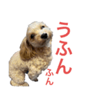 ルルのるー（個別スタンプ：1）
