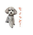 ルルのるー（個別スタンプ：2）