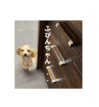 ルルのるー（個別スタンプ：17）