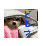 ルルのるー（個別スタンプ：19）