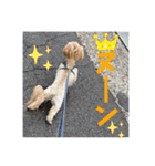 ルルのるー（個別スタンプ：24）