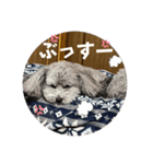 ルルのるー（個別スタンプ：31）