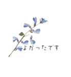 【丁寧】よく使う定番の言葉 花を添えて（個別スタンプ：34）