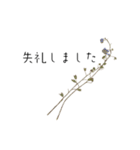 【丁寧】よく使う定番の言葉 花を添えて（個別スタンプ：36）