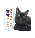 黒猫トムチ6（個別スタンプ：14）