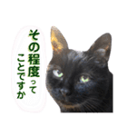 黒猫トムチ6（個別スタンプ：17）