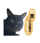 黒猫トムチ6（個別スタンプ：21）