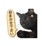 黒猫トムチ6（個別スタンプ：26）