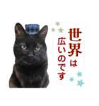 黒猫トムチ6（個別スタンプ：33）