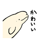 おじさんスタンプ3作目（個別スタンプ：24）