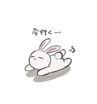 のんびりうさぎとげんきねこ（個別スタンプ：7）