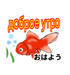 可愛い金魚たち(ロシア語と日本語)（個別スタンプ：1）