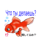 可愛い金魚たち(ロシア語と日本語)（個別スタンプ：2）