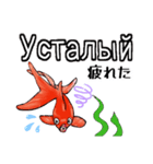 可愛い金魚たち(ロシア語と日本語)（個別スタンプ：10）