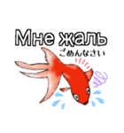 可愛い金魚たち(ロシア語と日本語)（個別スタンプ：11）