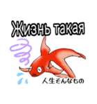 可愛い金魚たち(ロシア語と日本語)（個別スタンプ：12）