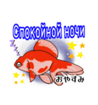 可愛い金魚たち(ロシア語と日本語)（個別スタンプ：16）