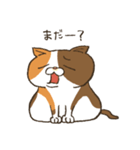 ねこの七味ちゃん2（個別スタンプ：17）