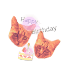 いつでも使える ぼぬとぷてぃ（個別スタンプ：37）