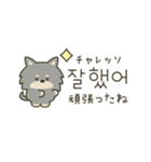 使って覚える韓国語♡黒犬さん（個別スタンプ：13）