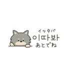 使って覚える韓国語♡黒犬さん（個別スタンプ：32）