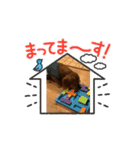 ダヴちゃんスタンプ2（個別スタンプ：8）