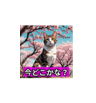 桜と猫（個別スタンプ：7）