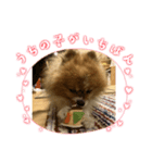 いぬじろーのスタンプ（個別スタンプ：3）