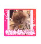 いぬじろーのスタンプ（個別スタンプ：4）