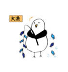 ぴーちゃん【seagull】（個別スタンプ：1）