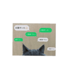 Tomリンリン（個別スタンプ：15）