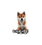 なにわの柴犬（個別スタンプ：12）