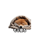 なにわの柴犬（個別スタンプ：16）