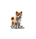 なにわの柴犬（個別スタンプ：22）