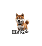 なにわの柴犬（個別スタンプ：38）