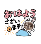しろい先輩（体調いかが編）（個別スタンプ：1）