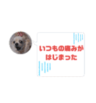 しろい先輩（体調いかが編）（個別スタンプ：3）