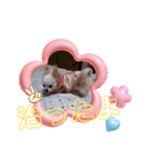 しろい先輩（体調いかが編）（個別スタンプ：5）
