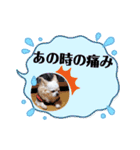 しろい先輩（体調いかが編）（個別スタンプ：6）
