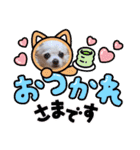 しろい先輩（体調いかが編）（個別スタンプ：19）