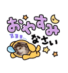 しろい先輩（体調いかが編）（個別スタンプ：20）