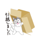 ぎんちゃんスタンプ30（個別スタンプ：4）