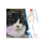 シナモ11（個別スタンプ：4）