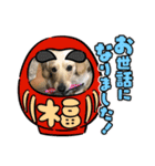 シナモ11（個別スタンプ：5）