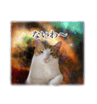 宇宙のはちさく（個別スタンプ：1）