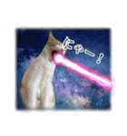 宇宙のはちさく（個別スタンプ：2）