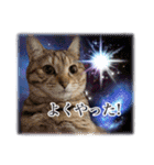 宇宙のはちさく（個別スタンプ：3）